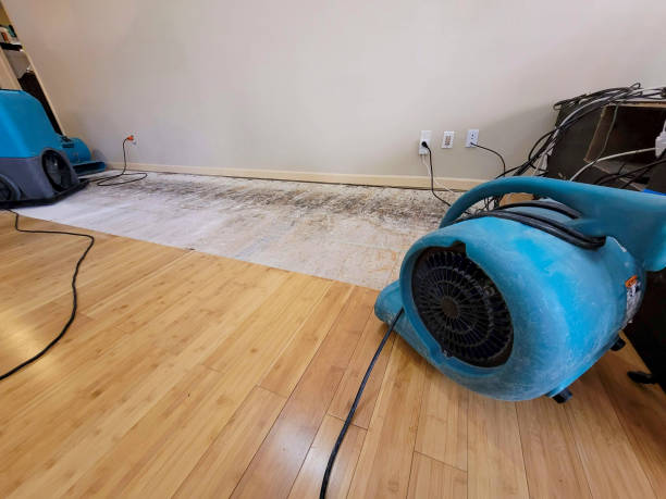 Professional Water Damage Repair technician working in Mountain View, HI